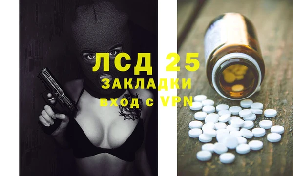хмурый Аркадак