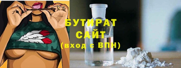 хмурый Аркадак