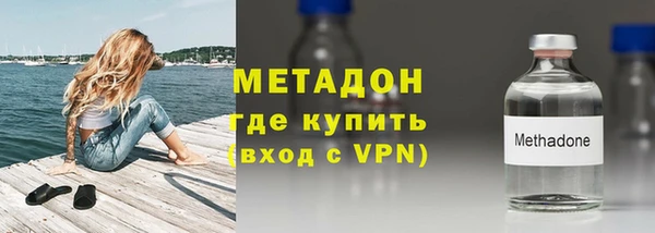 хмурый Аркадак