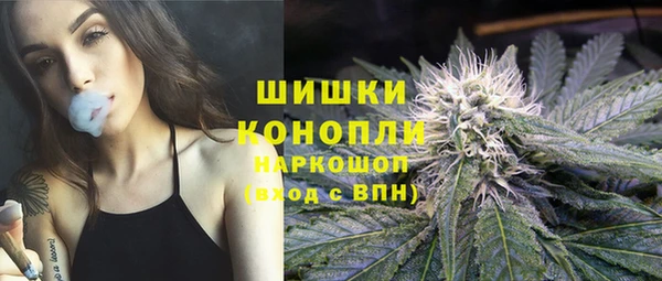 хмурый Аркадак