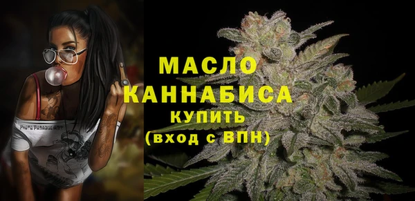 хмурый Аркадак