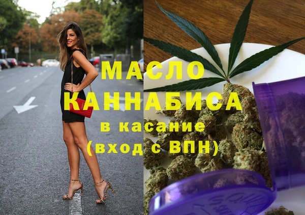 хмурый Аркадак
