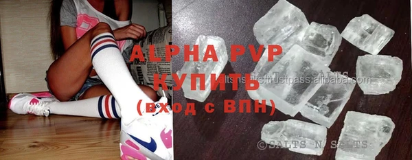 хмурый Аркадак