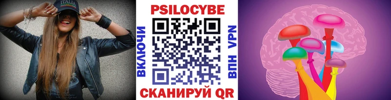 Псилоцибиновые грибы мицелий  где можно купить   мориарти телеграм  Сорочинск 